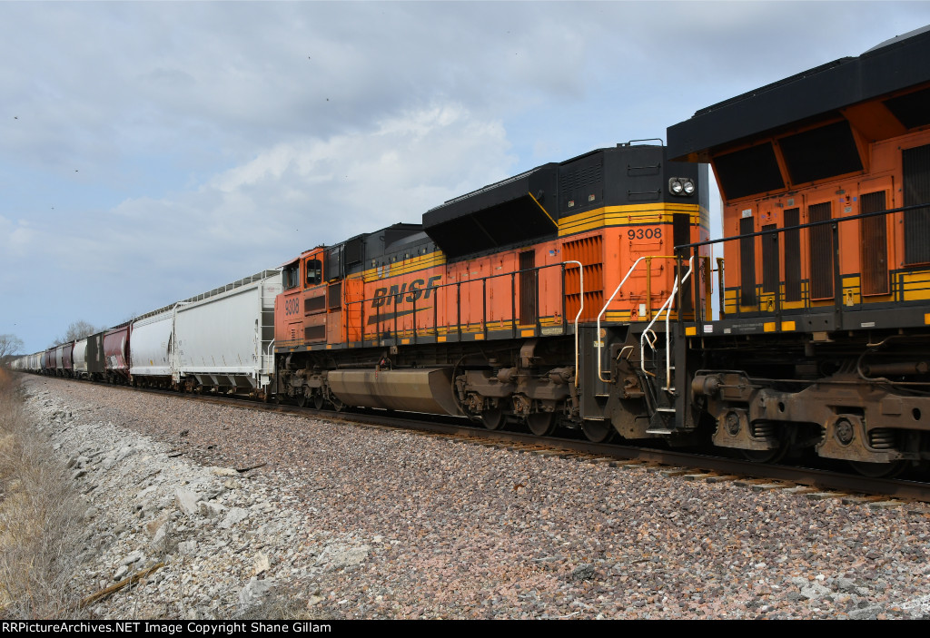 BNSF 9308 Roster shot